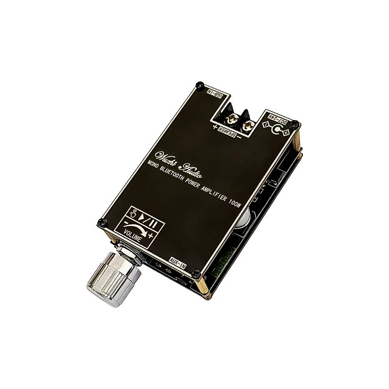 Módulo Amplificador de Audio B - Home Cinema Installation reseña y precio